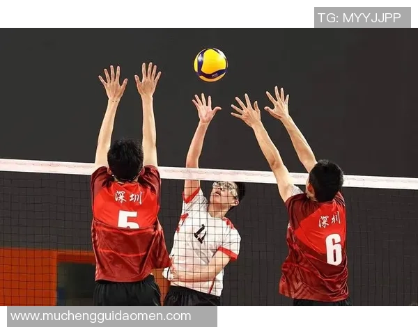 热议排球：重庆排球队的团队协作变革